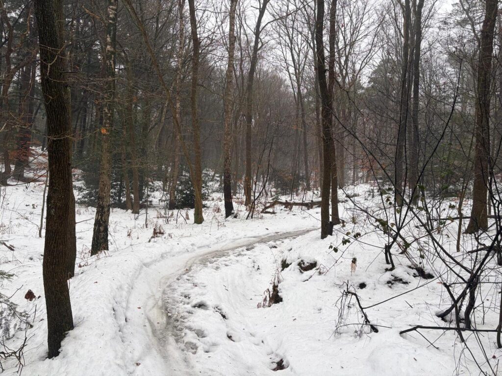 Mountainbike route Utrechtse Heuvelrug in de winter onderhouden door vrijwilligers in de vrijwilligers app